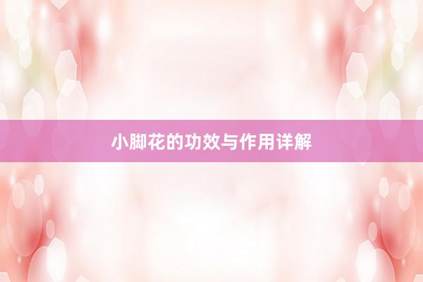 小脚花的功效与作用详解