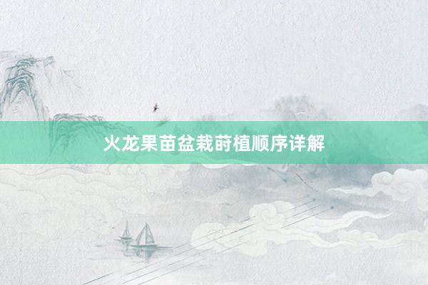 火龙果苗盆栽莳植顺序详解