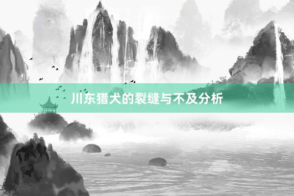 川东猎犬的裂缝与不及分析