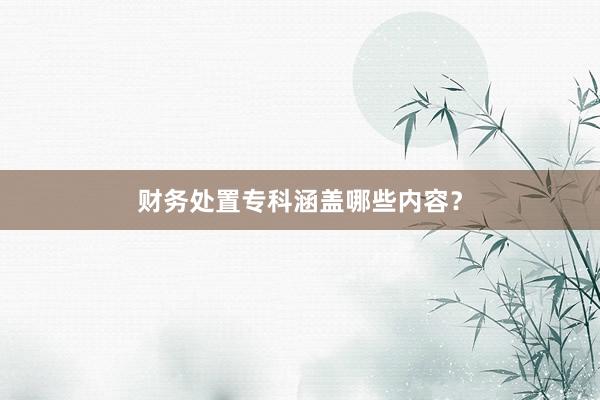 财务处置专科涵盖哪些内容？