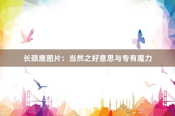 长颈鹿图片：当然之好意思与专有魔力